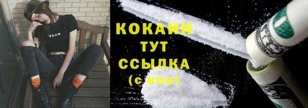 ПСИЛОЦИБИНОВЫЕ ГРИБЫ Осташков