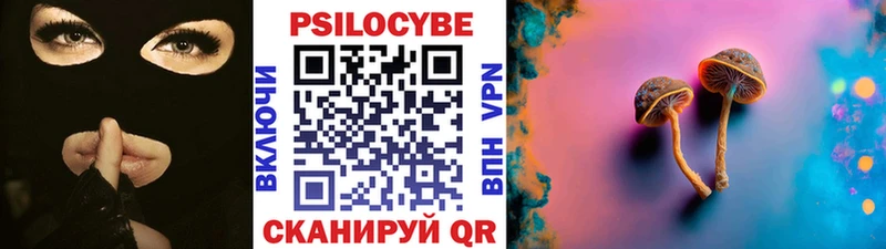 Галлюциногенные грибы Psilocybine cubensis Сарапул